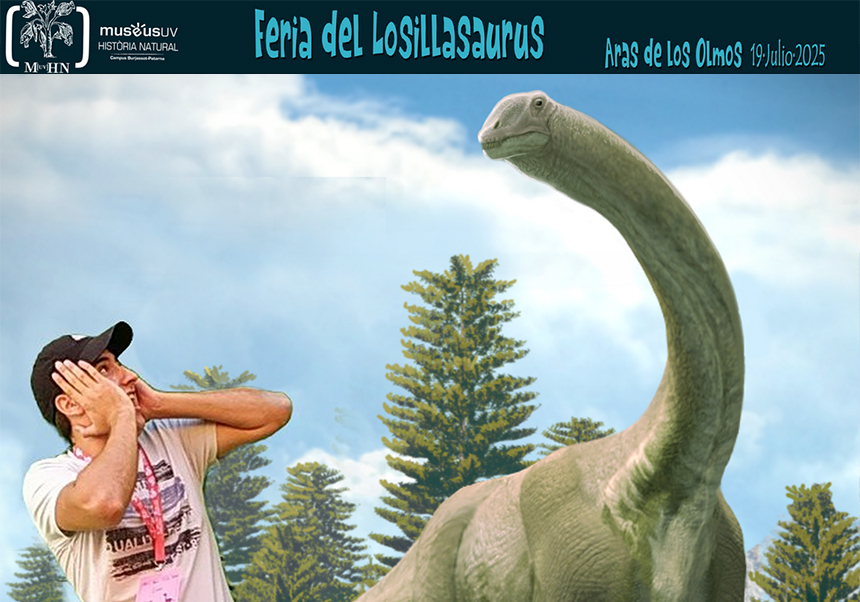 Feria del Losillasaurus de Aras de los Olmos 2025 - imatge 0